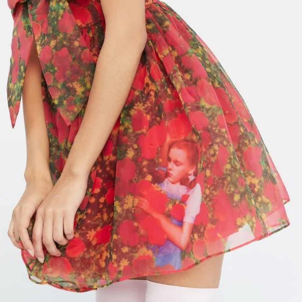 Wizard of Oz Dress